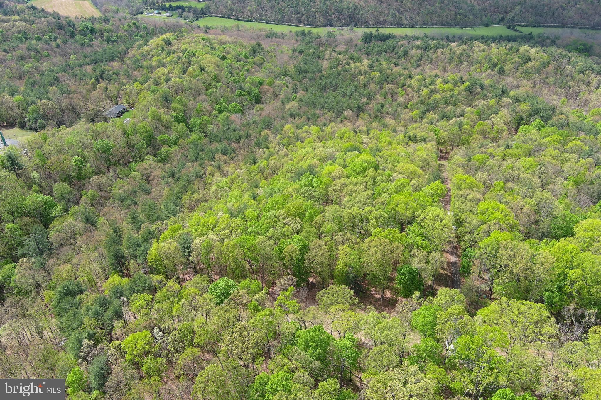 CACAPON MOUNTAIN RETREAT - Land