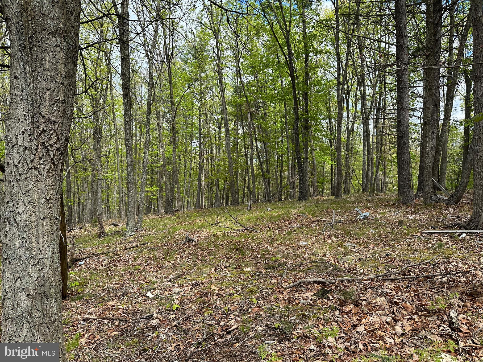 CACAPON MOUNTAIN RETREAT - Land