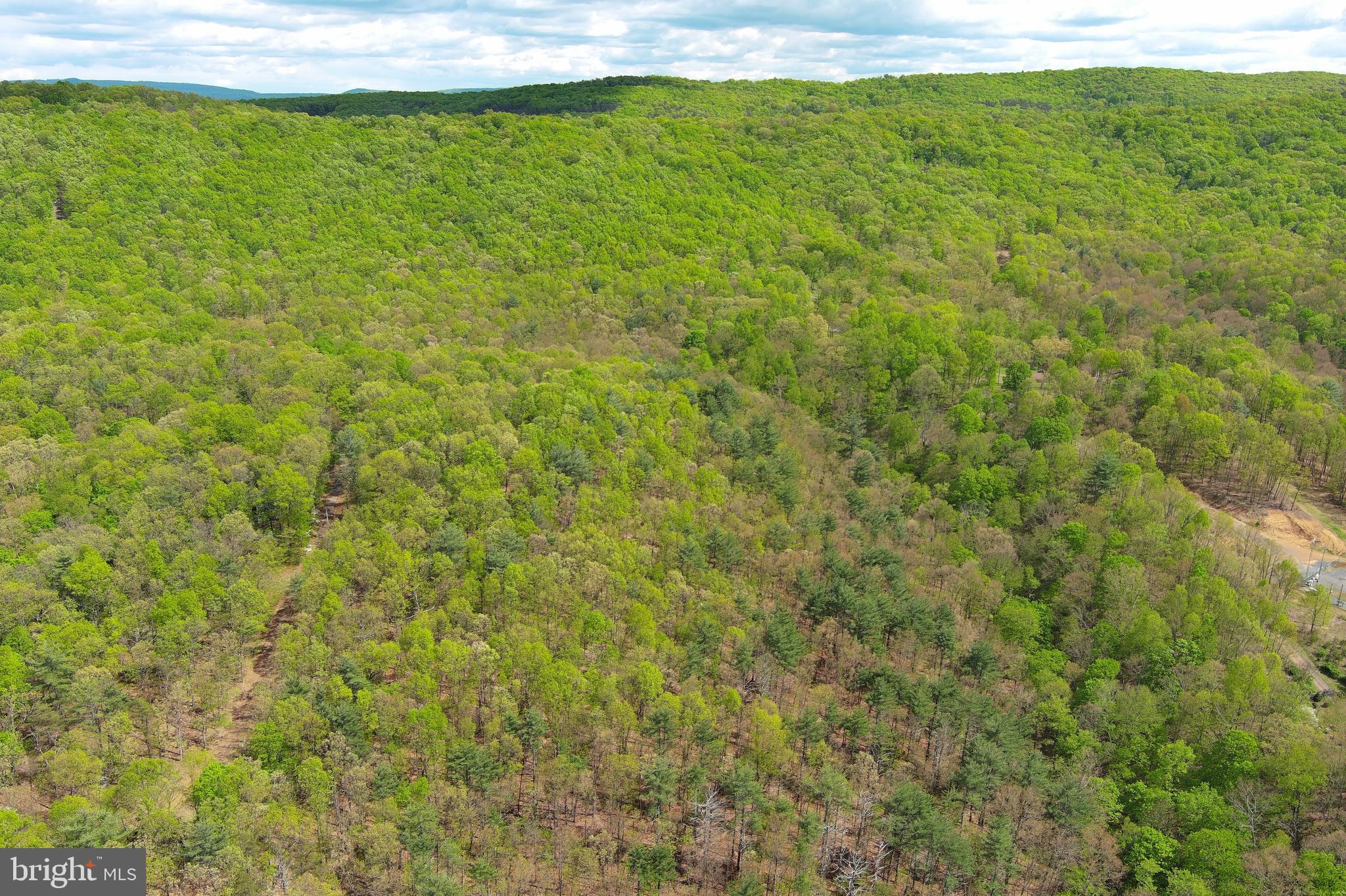 CACAPON MOUNTAIN RETREAT - Land