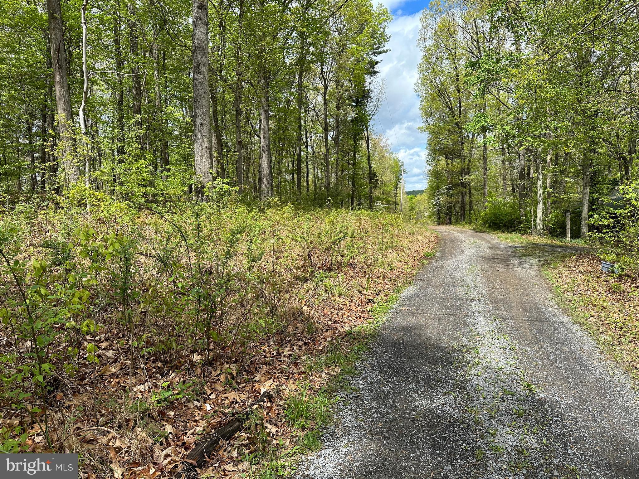 CACAPON MOUNTAIN RETREAT - Land