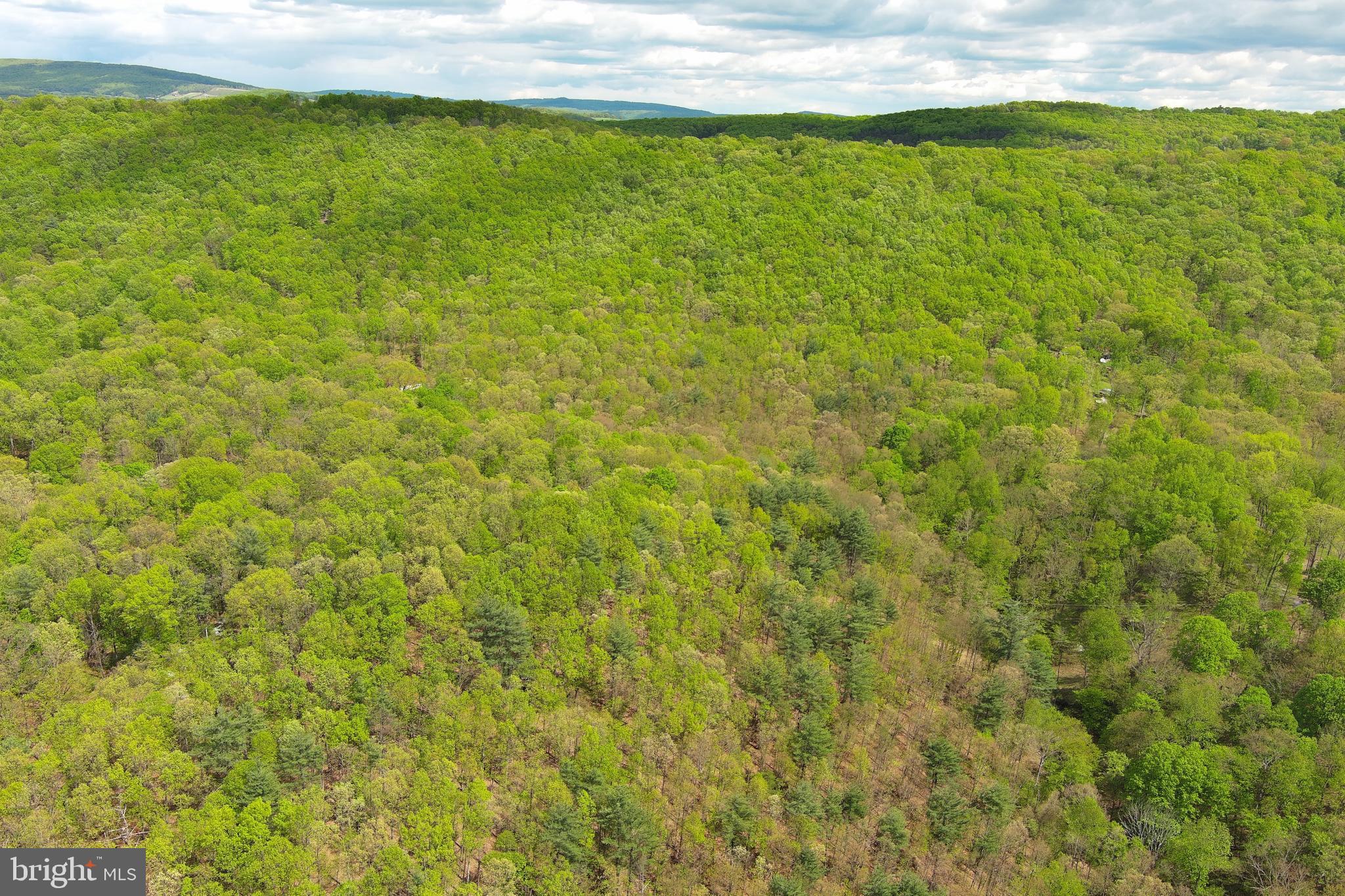 CACAPON MOUNTAIN RETREAT - Land