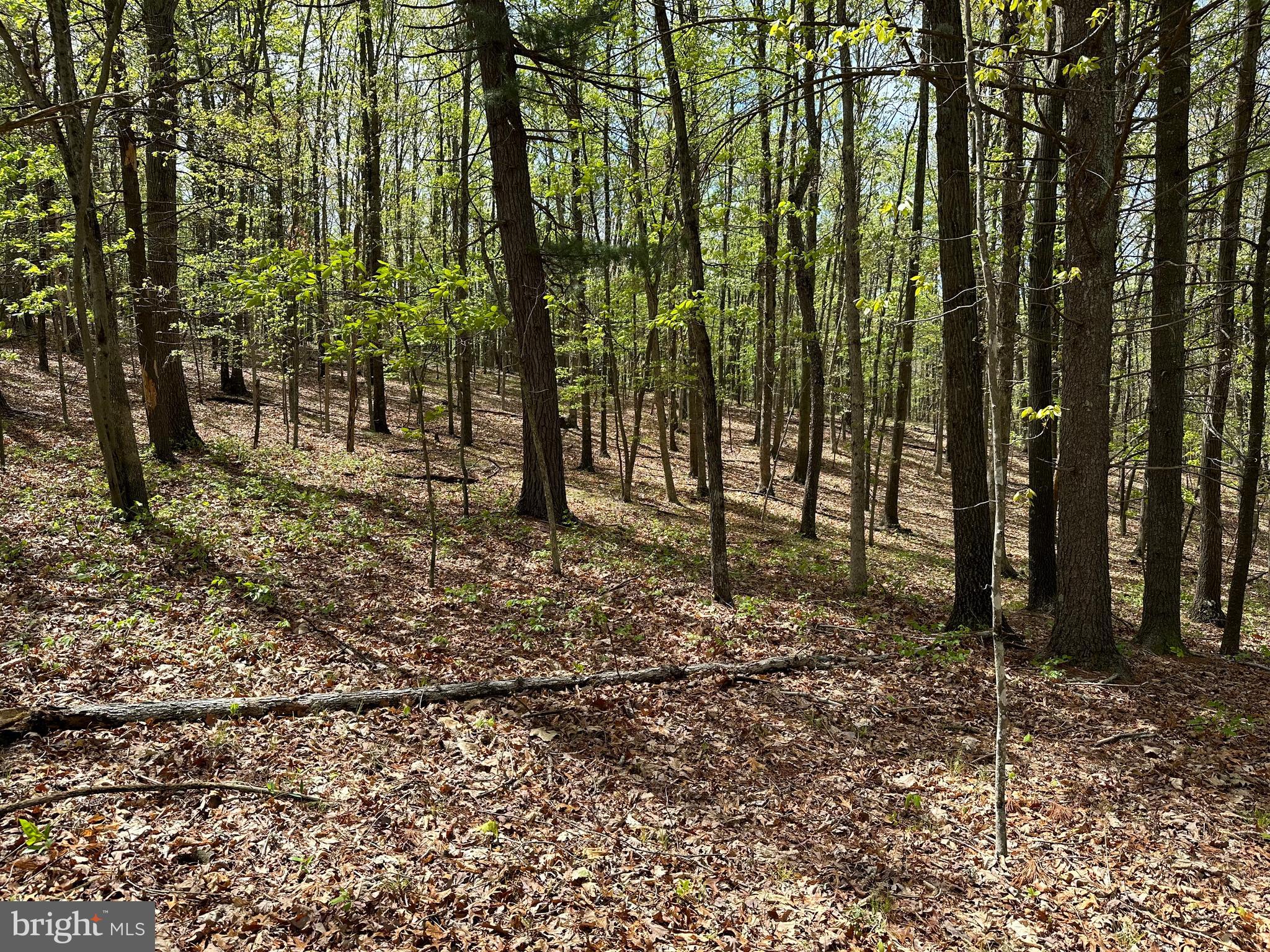 CACAPON MOUNTAIN RETREAT - Land