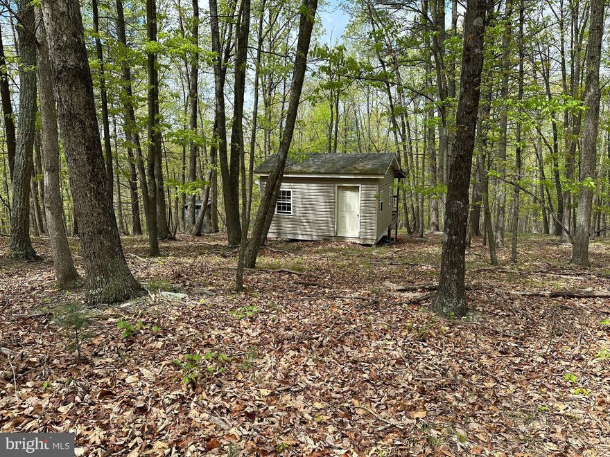 GORGEOUS FOREST.....8 GENTLE ACRES COVERED IN A VARIETY OF MATURE HARDWOODS AND TOWERING WHITE PINES. PRIVATE AND QUIET WITH GREAT BUILDING SITE ON KNOLL. HOW HANDY ARE YOU? MINI CABIN SHELL IN PLACE, EXTERIOR OF SHELL ISN'T TOO BAD BUT BACK PORCH NEEDS TORN OFF.....IF YOU'RE HANDY, YOU'LL FIGURE OUT WHAT TO DO WITH IT....AT WORST IT WOULD MAKE A HECK OF A HUNTING BLIND. LOCATED IN THE WELL ESTABLISHED COMMUNITY OF "CACAPON MOUNTAIN RETREAT" WHICH OFFERS WELL MAINTAINED ROADS AND COMMUNITY ACCESS TO THE "LITTLE CACAPON RIVER" A MIX OF WEEKENDERS AND FULL TIME RESIDENTS. HUNT, CAMP, SHOOT, ATV'S OR BUILD THAT CABIN YOU'VE ALWAYS DREAMED OF. WHAT A PRETTY PIECE OF LAND......IF YOU'VE BEEN LOOKING FOR YOUR OWN LITTLE SLICE OF HEAVEN.....THE SEARCH ENDS HERE!