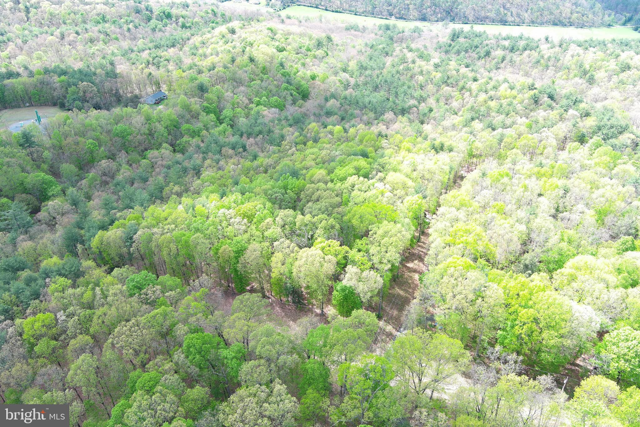 CACAPON MOUNTAIN RETREAT - Land