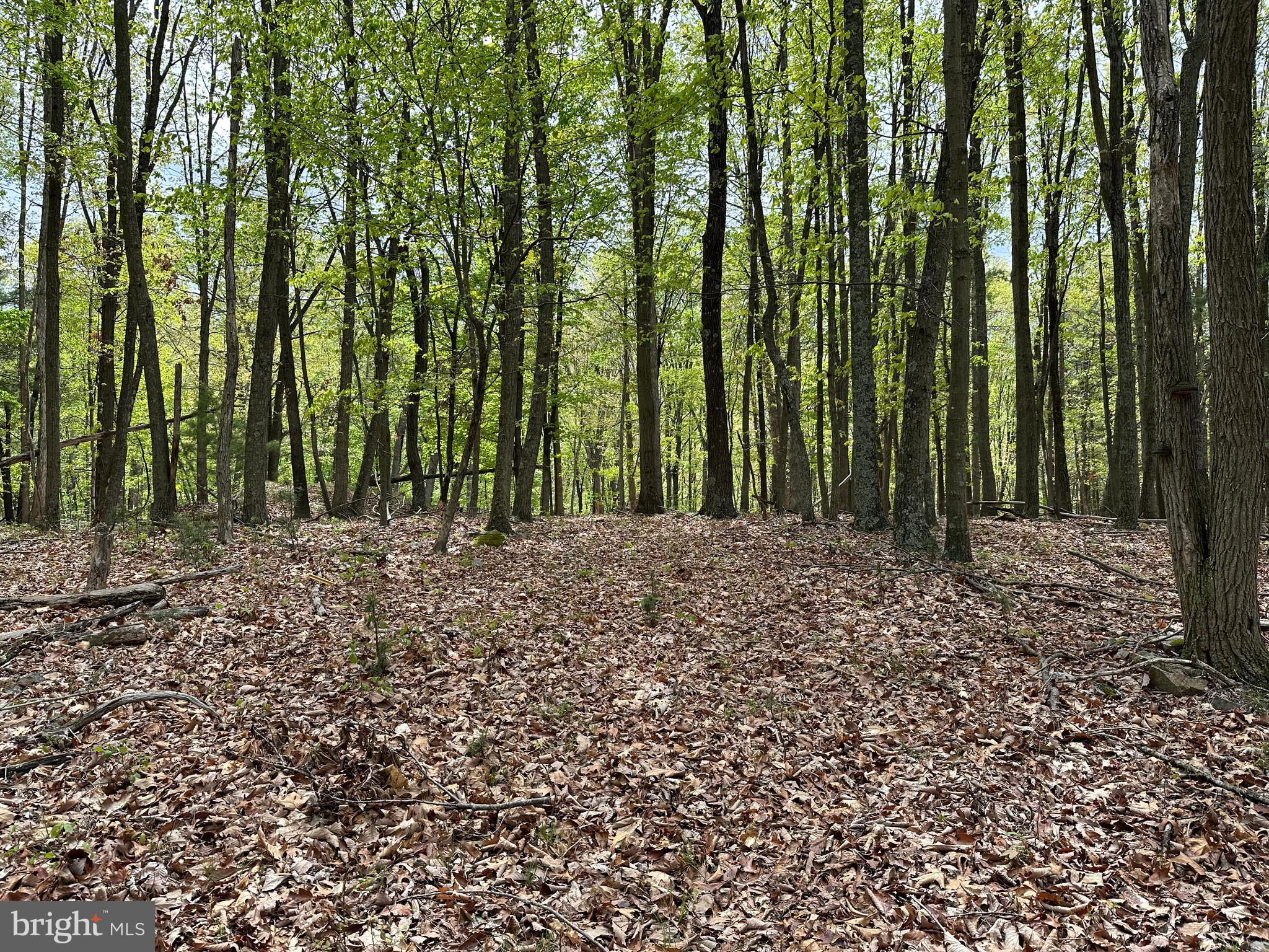 CACAPON MOUNTAIN RETREAT - Land