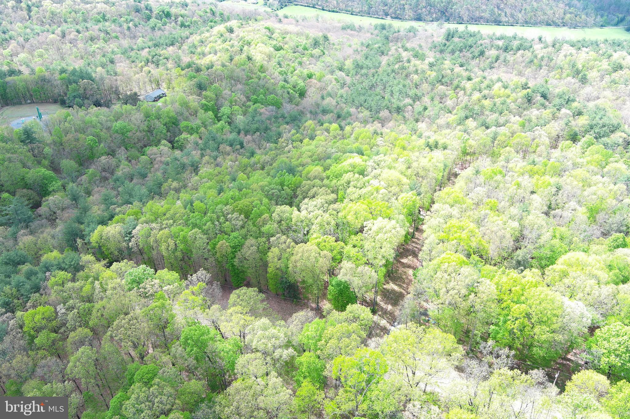 CACAPON MOUNTAIN RETREAT - Land