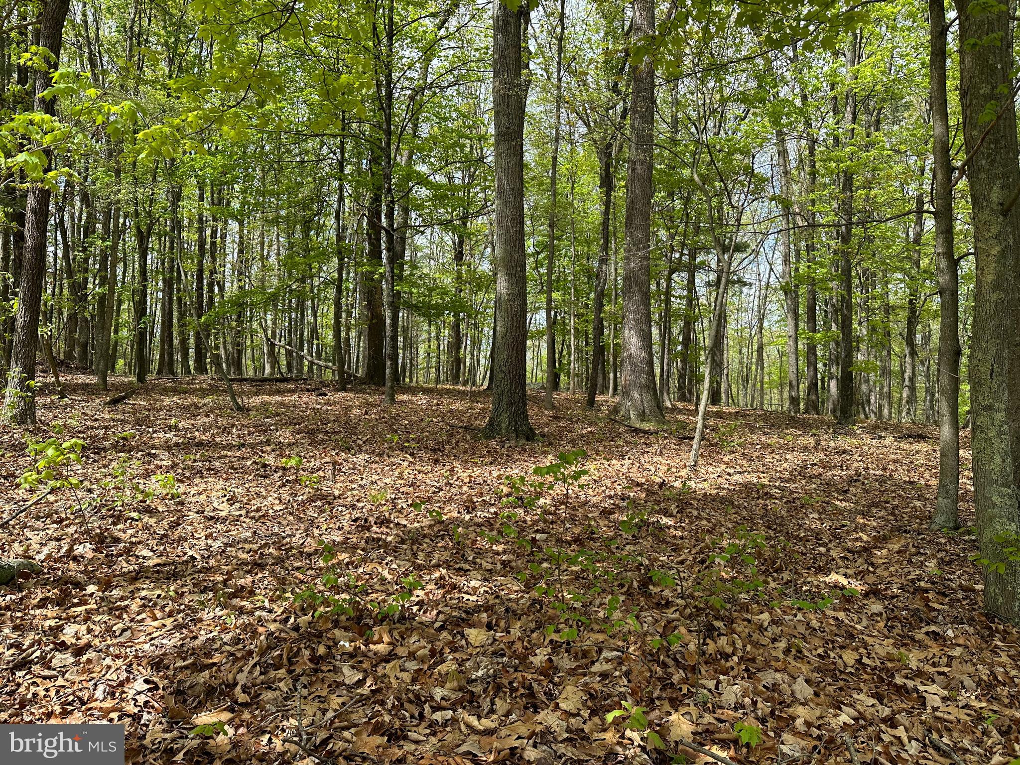 CACAPON MOUNTAIN RETREAT - Land