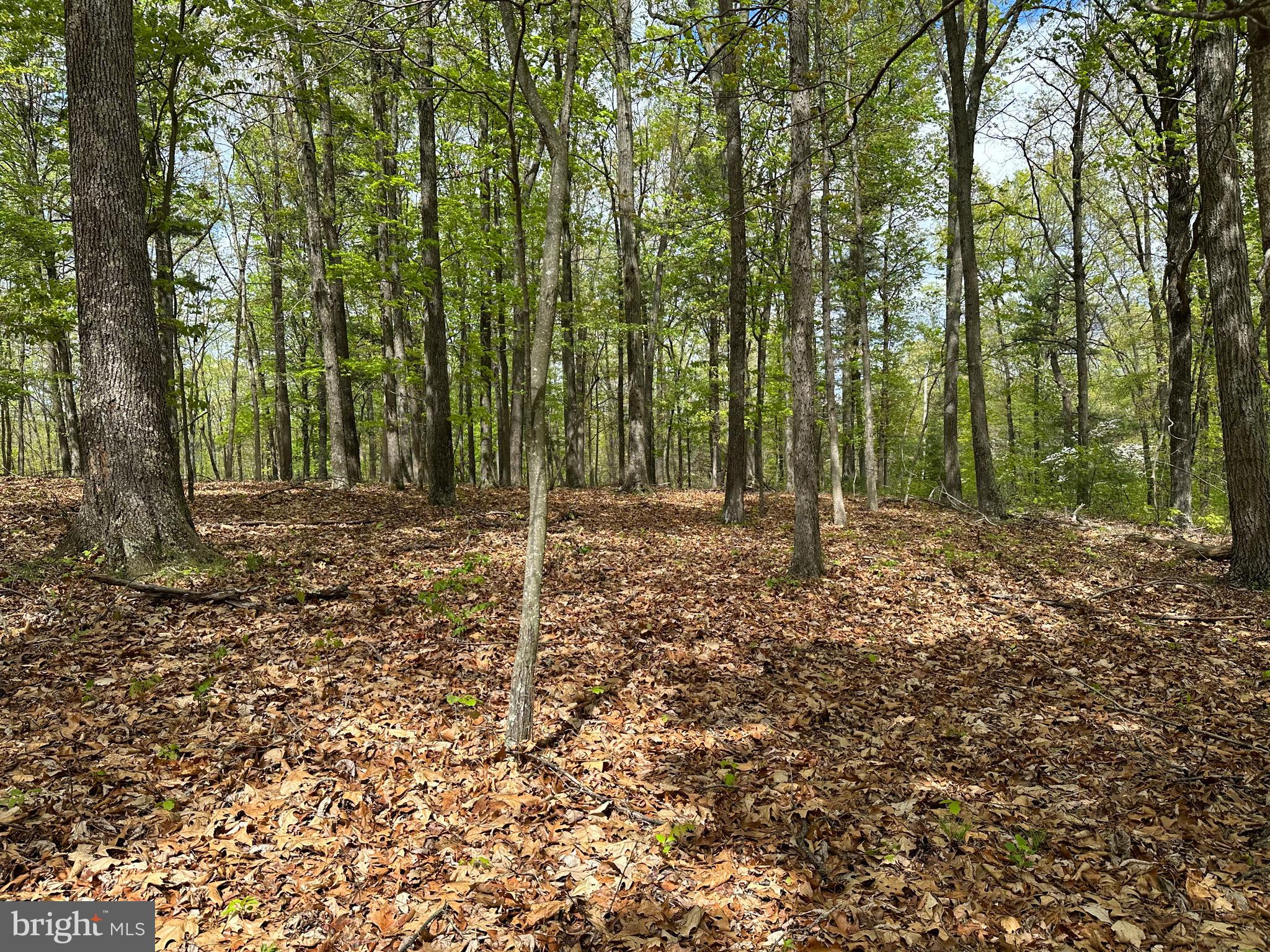 CACAPON MOUNTAIN RETREAT - Land