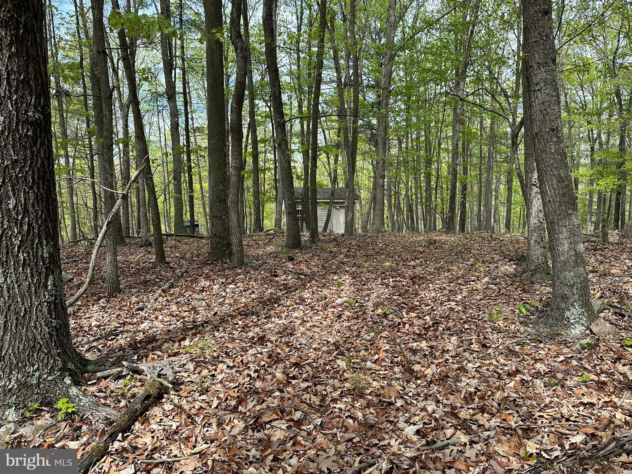 CACAPON MOUNTAIN RETREAT - Land