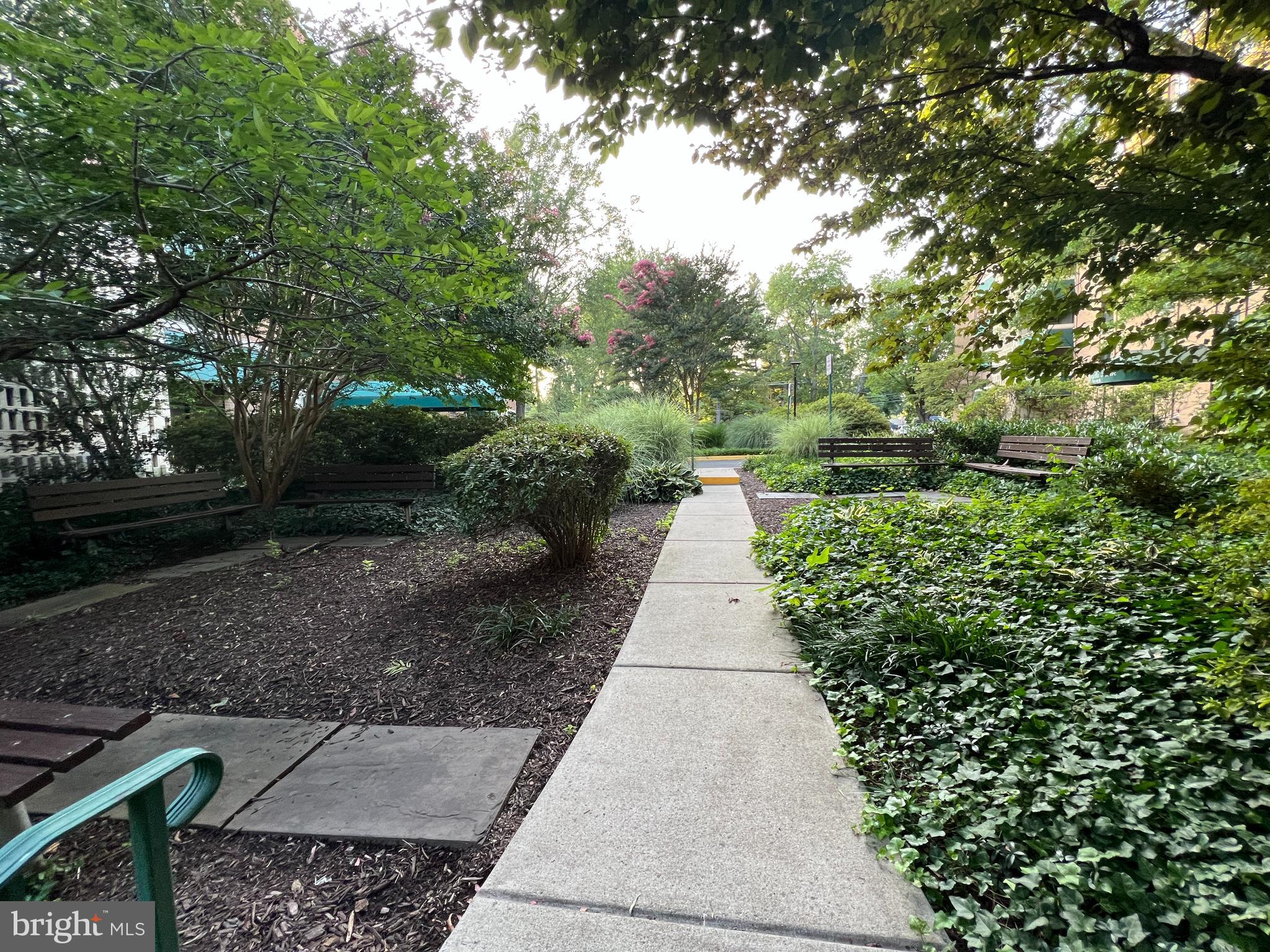 LAFAYETTE PARK CONDOMINIUM - Residential