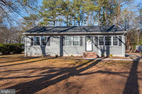 423 DORSEY LANE SALISBURY MD 21801