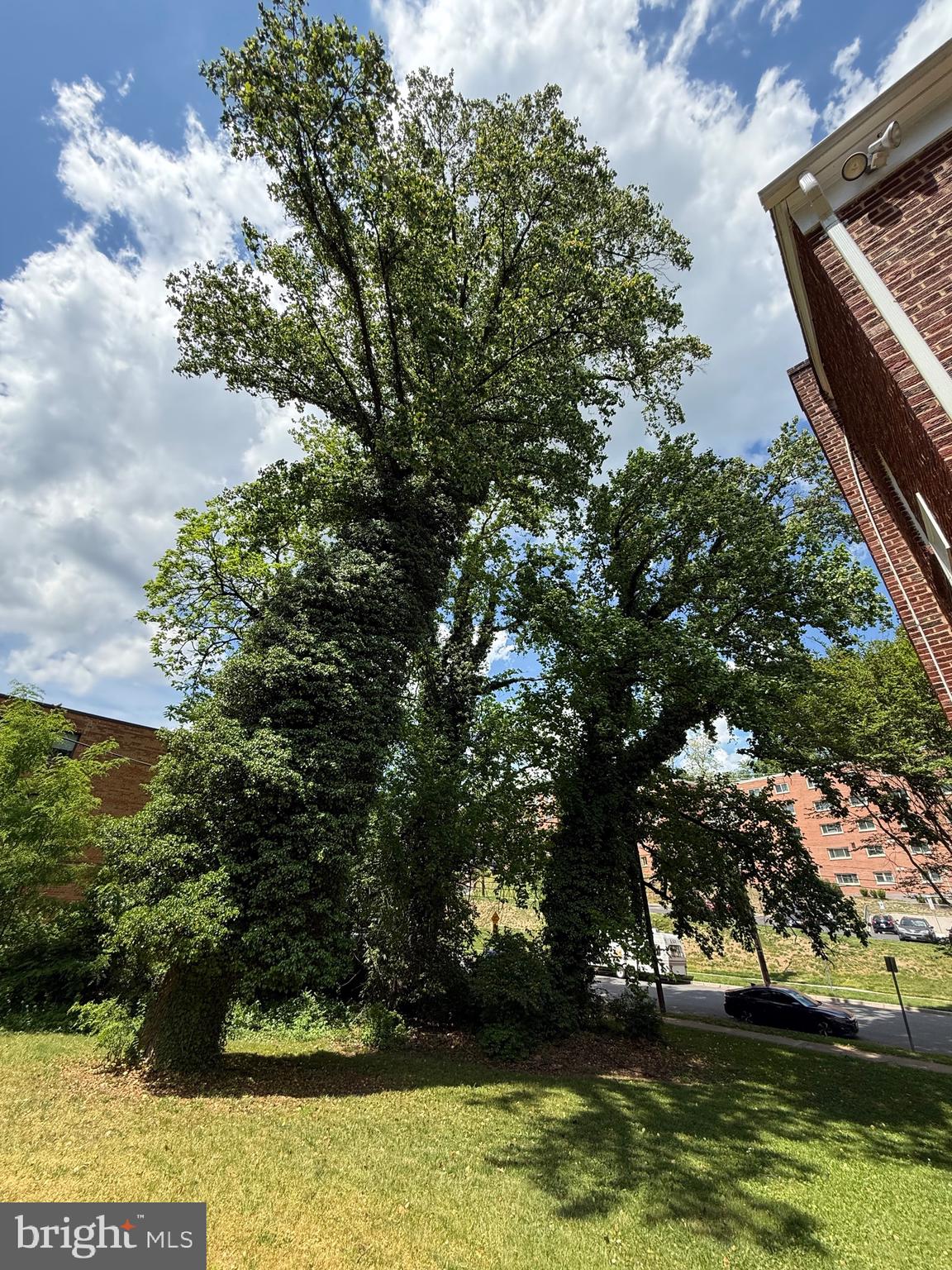 BLAIR - Residential Income