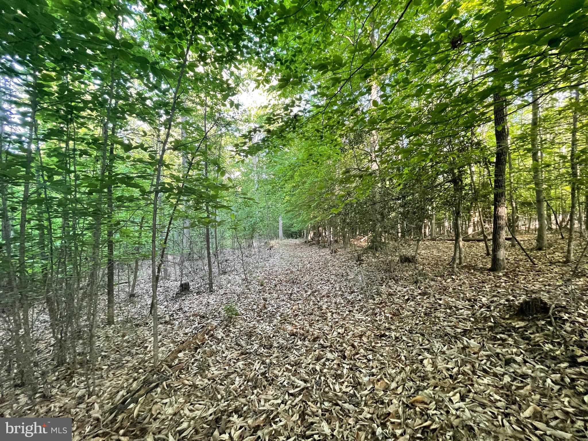 LOT 3 DEER MOUNTAIN ROAD