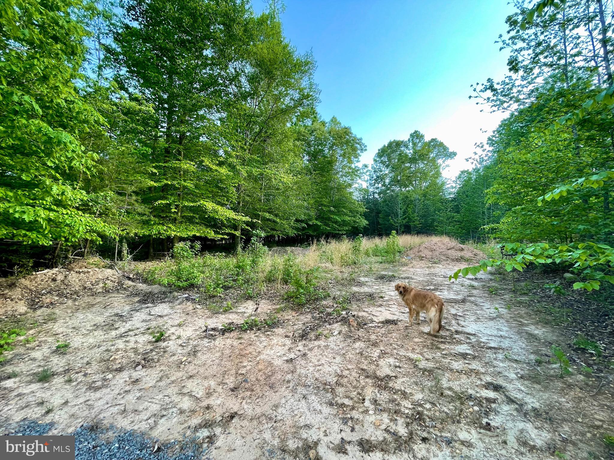LOT 3 DEER MOUNTAIN ROAD