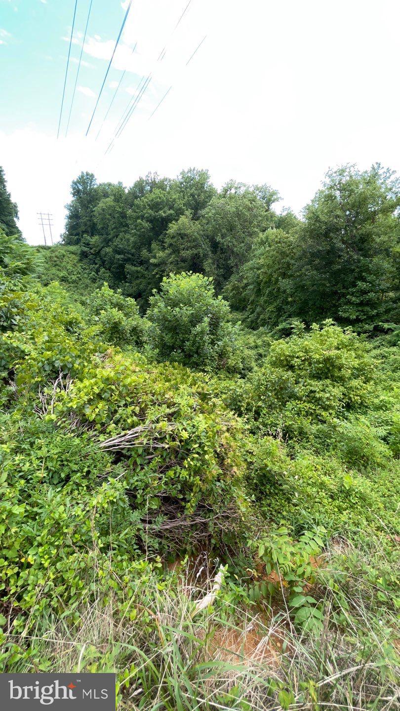 FOREST KNOLLS - Residential