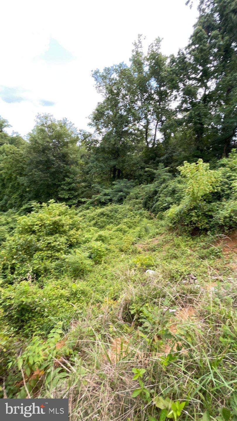 FOREST KNOLLS - Residential