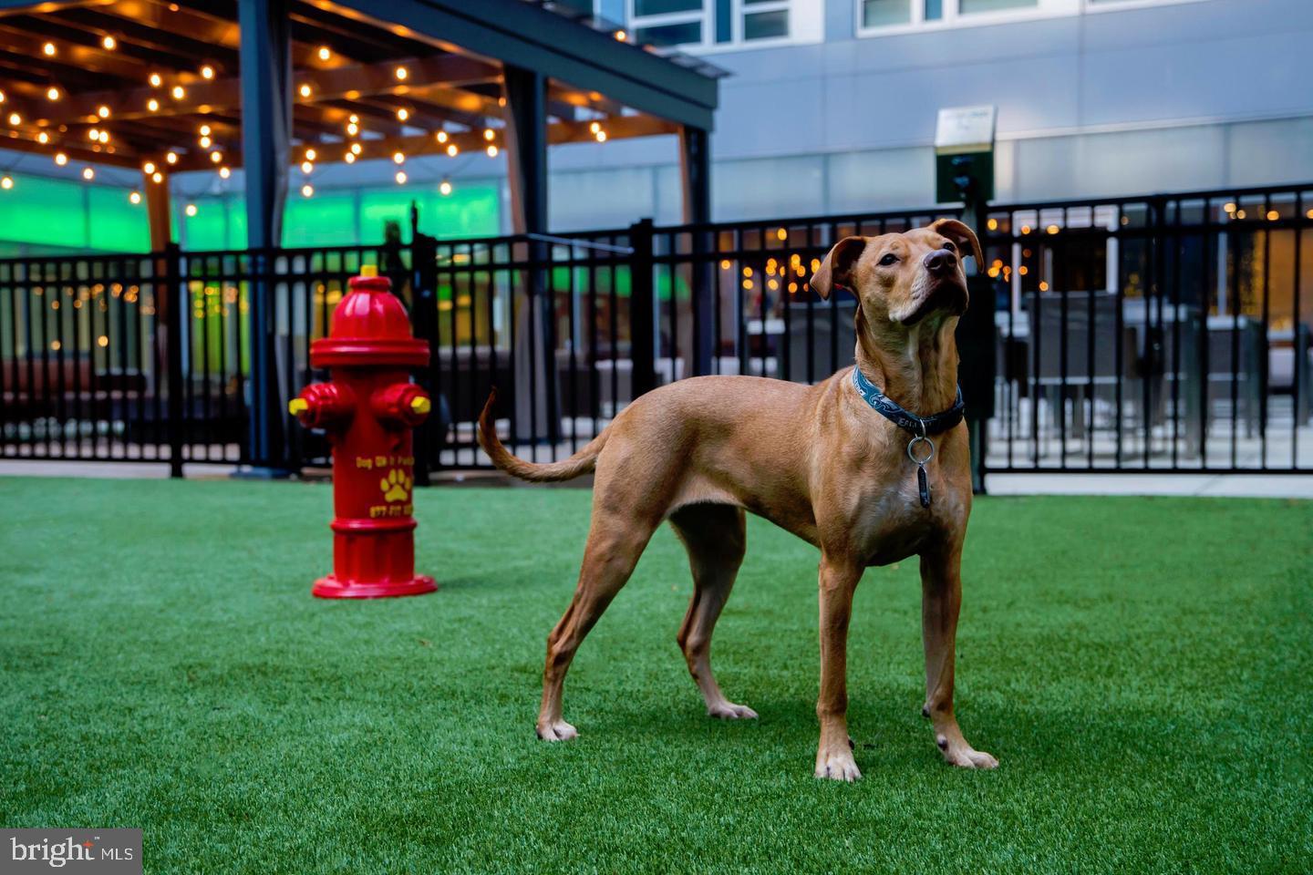 LOGAN SQUARE - Residential Lease