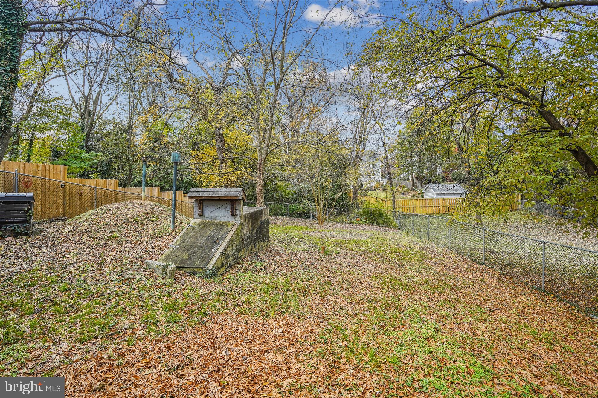 MOUNT RAINIER - Residential