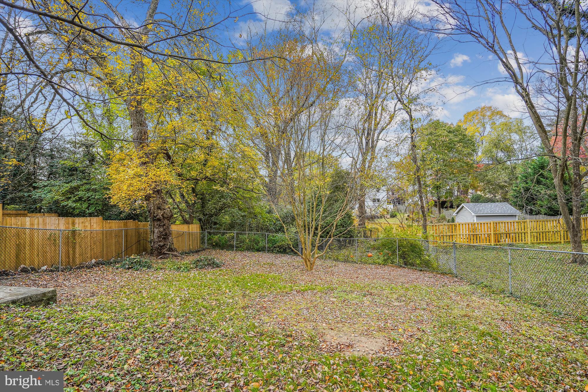 MOUNT RAINIER - Residential