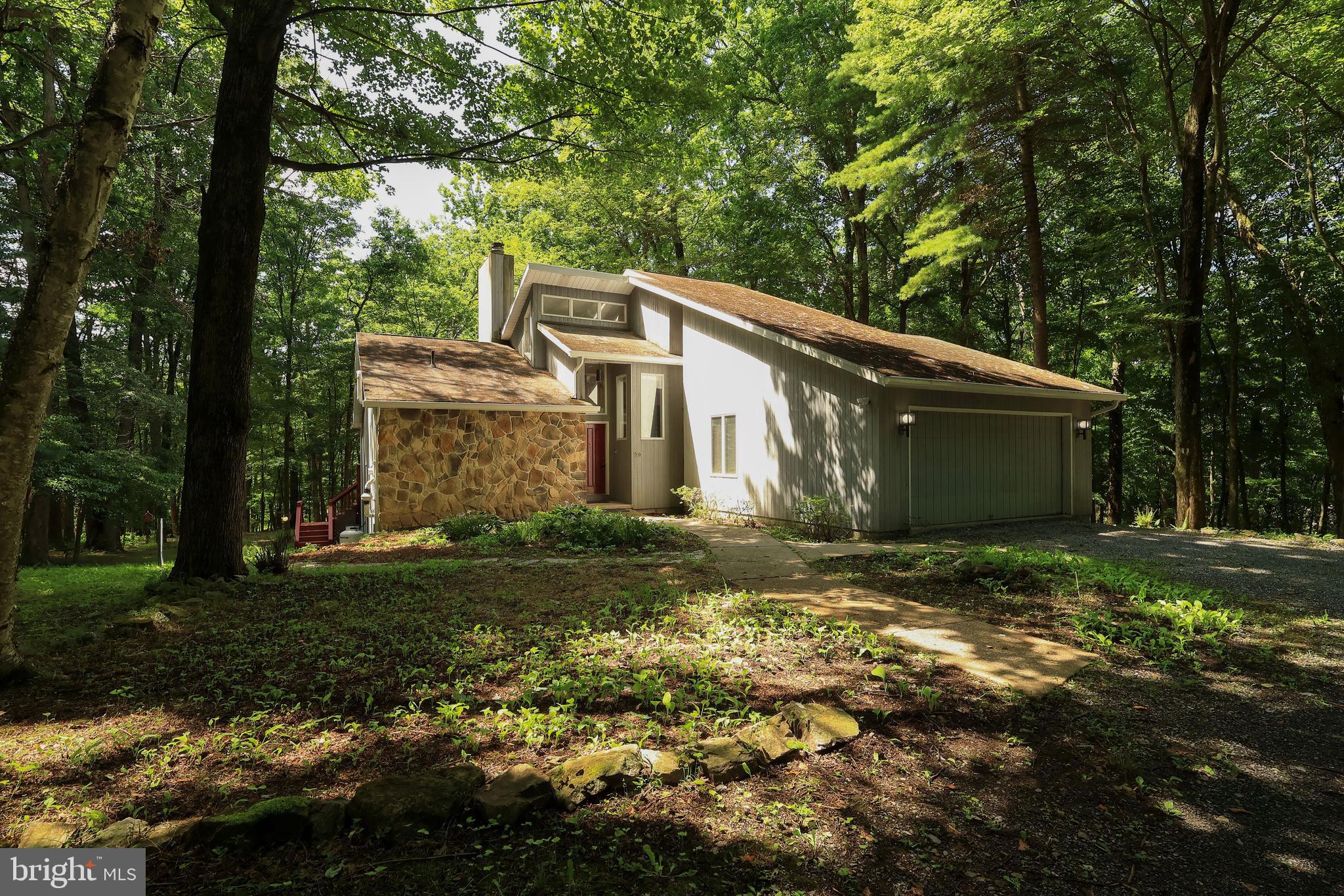 50 TOMS LANE