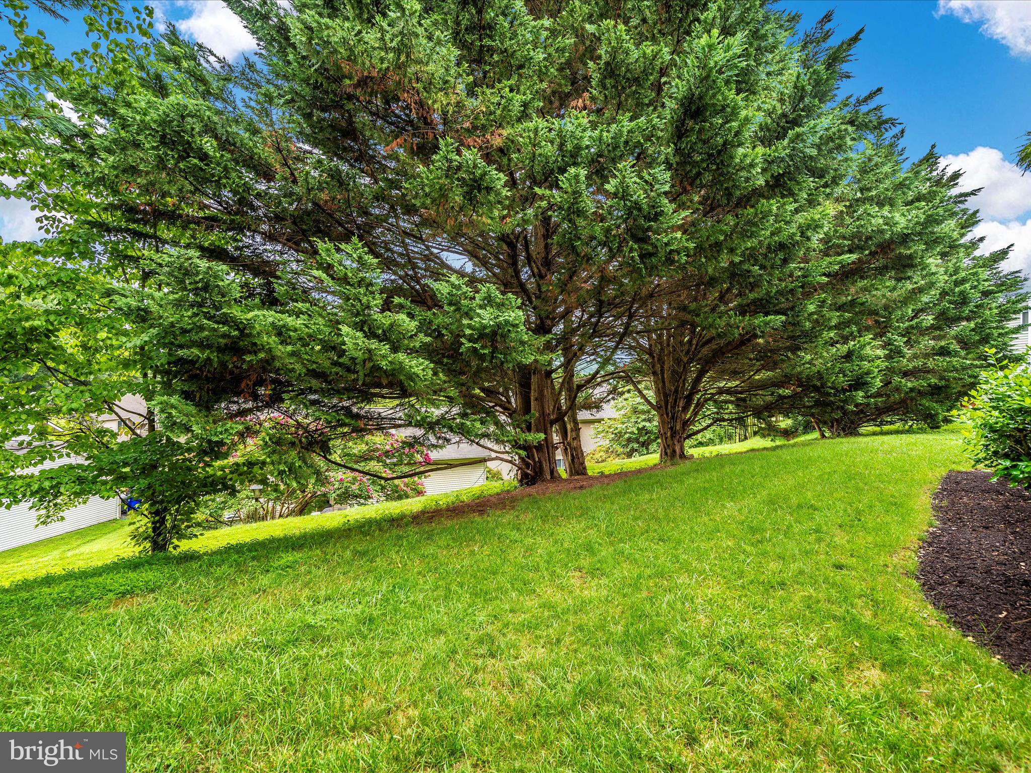 AUDUBON TERRACE VILLAS - Residential