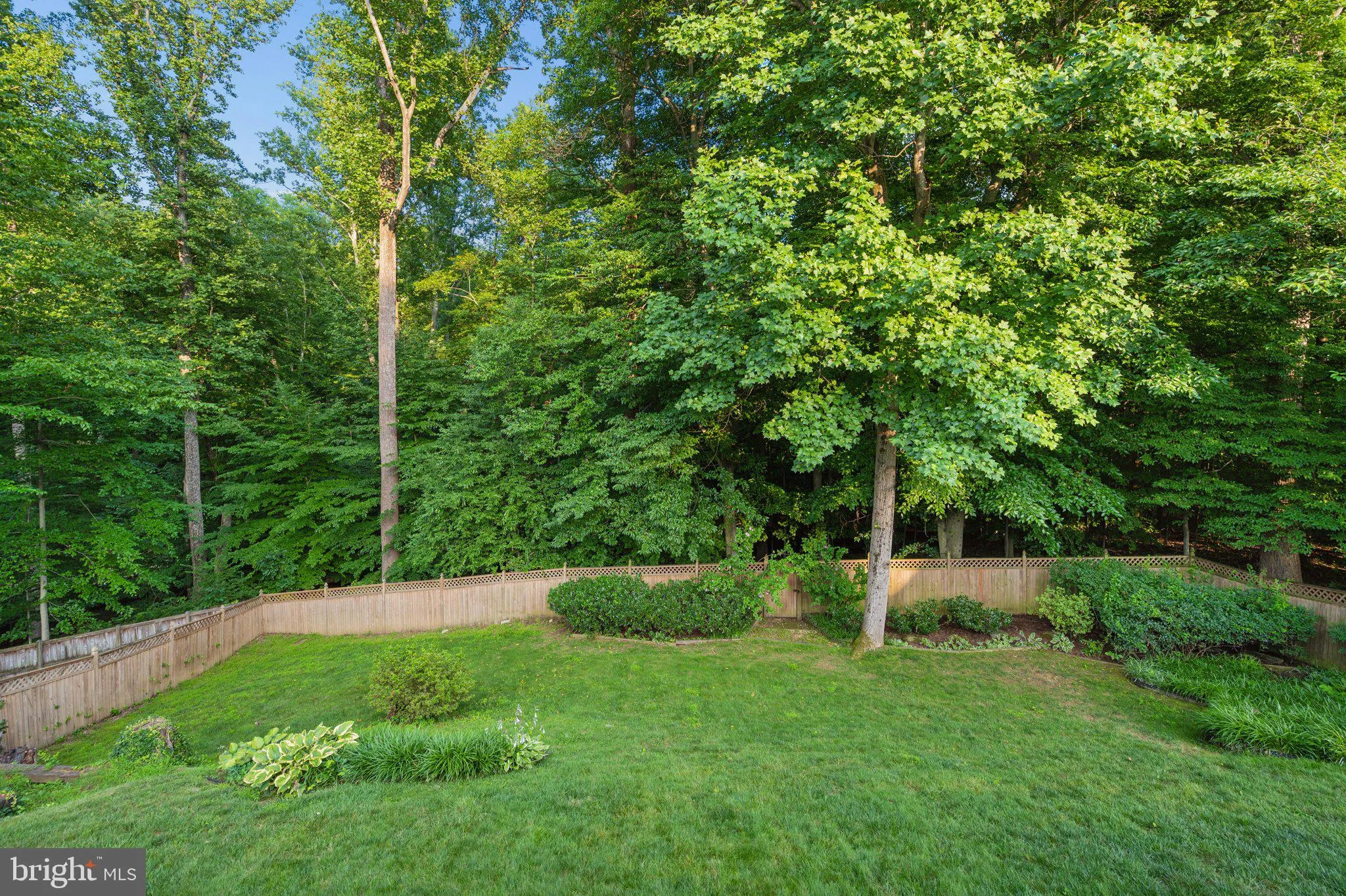 Additional image 114 of 14007 Manorvale Road, Rockville, MD 20853