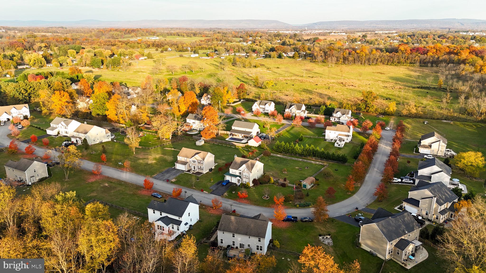 WILD ROSE - Residential