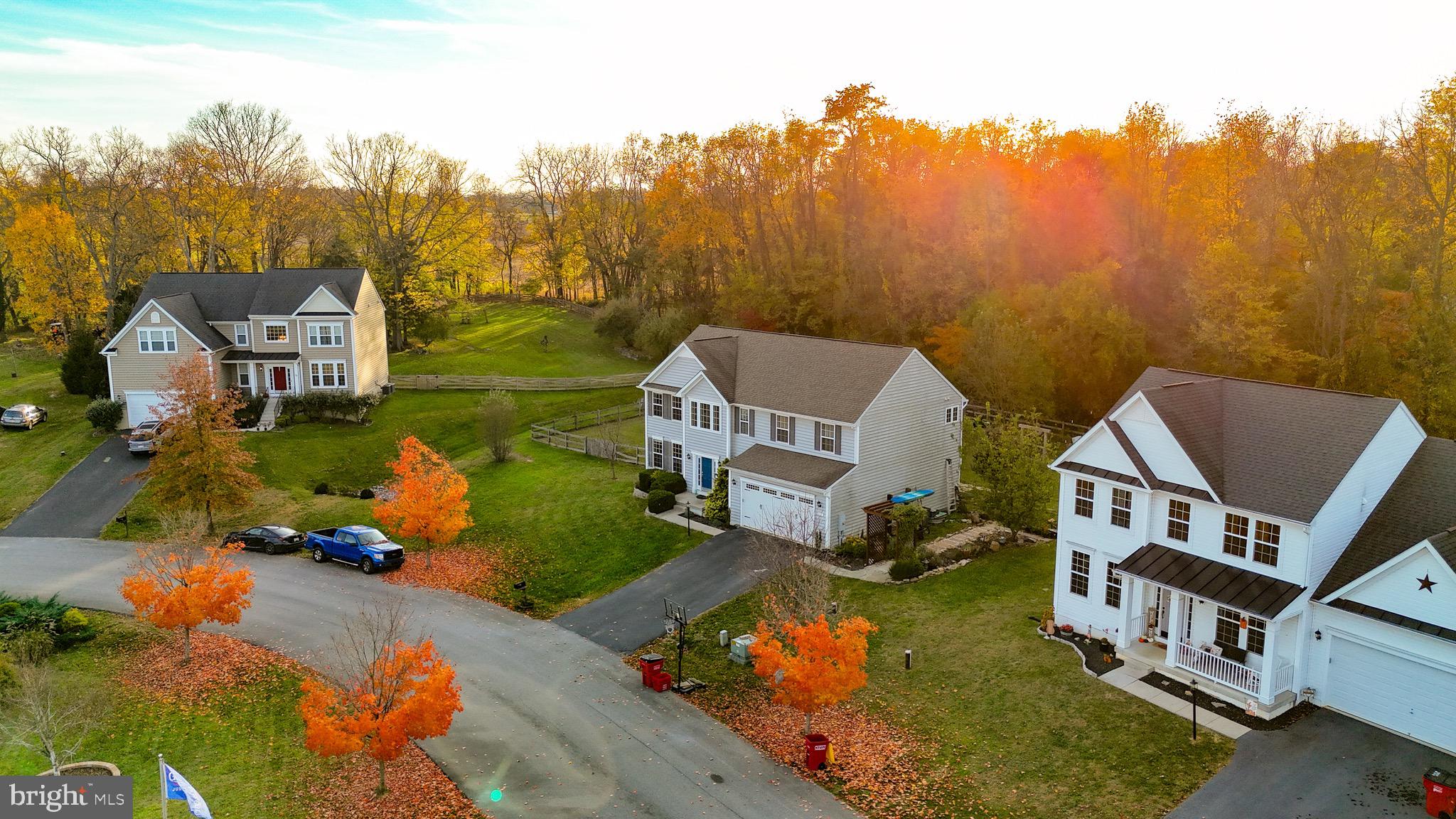 WILD ROSE - Residential