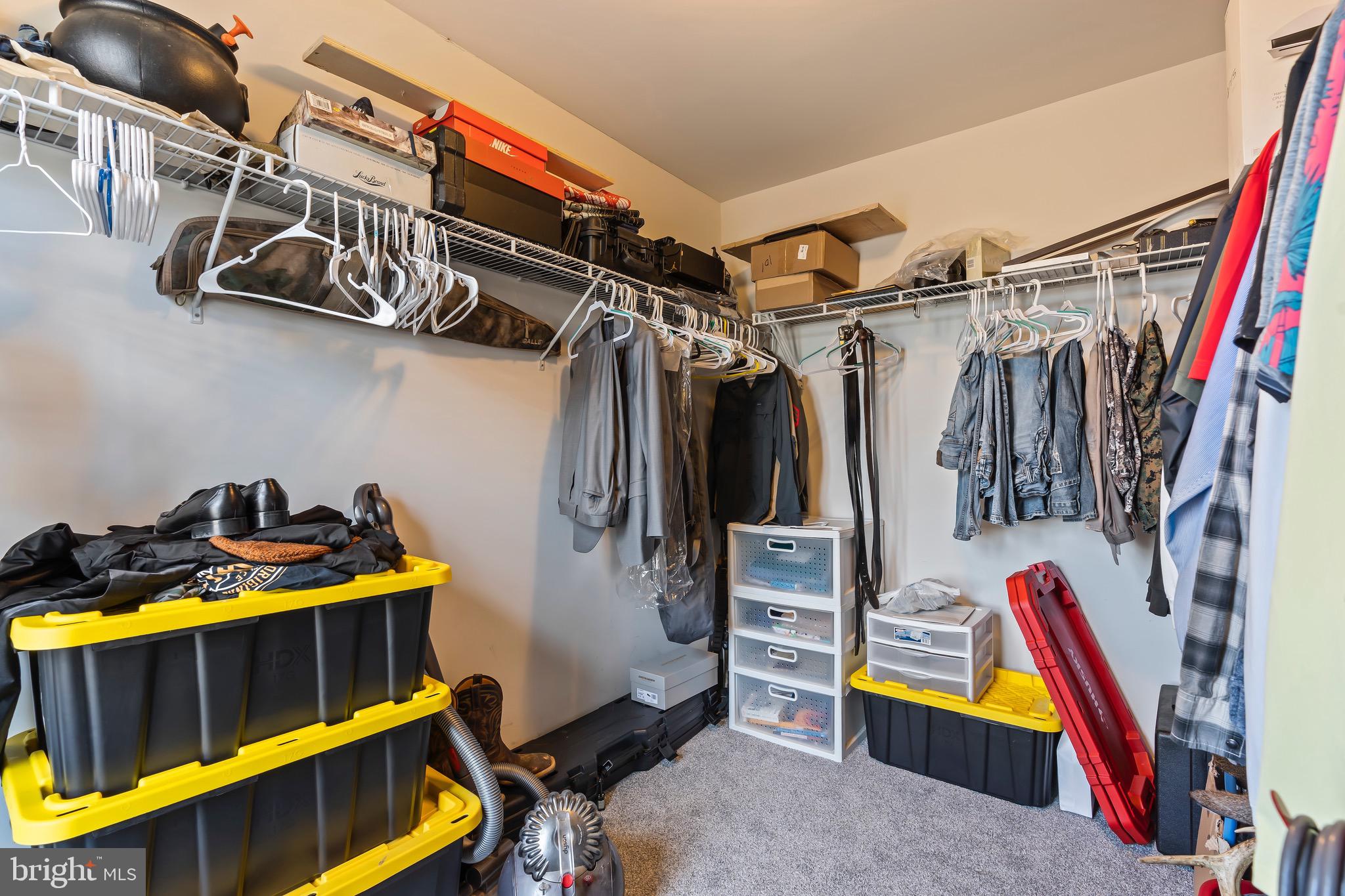 WILD ROSE - Residential