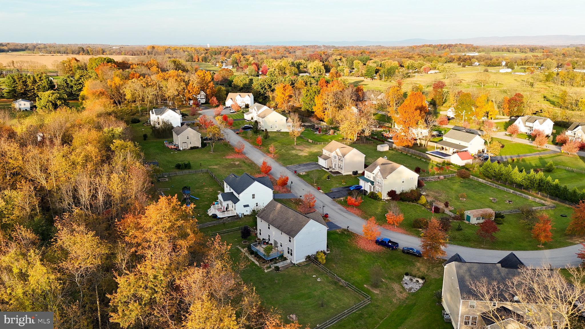 WILD ROSE - Residential