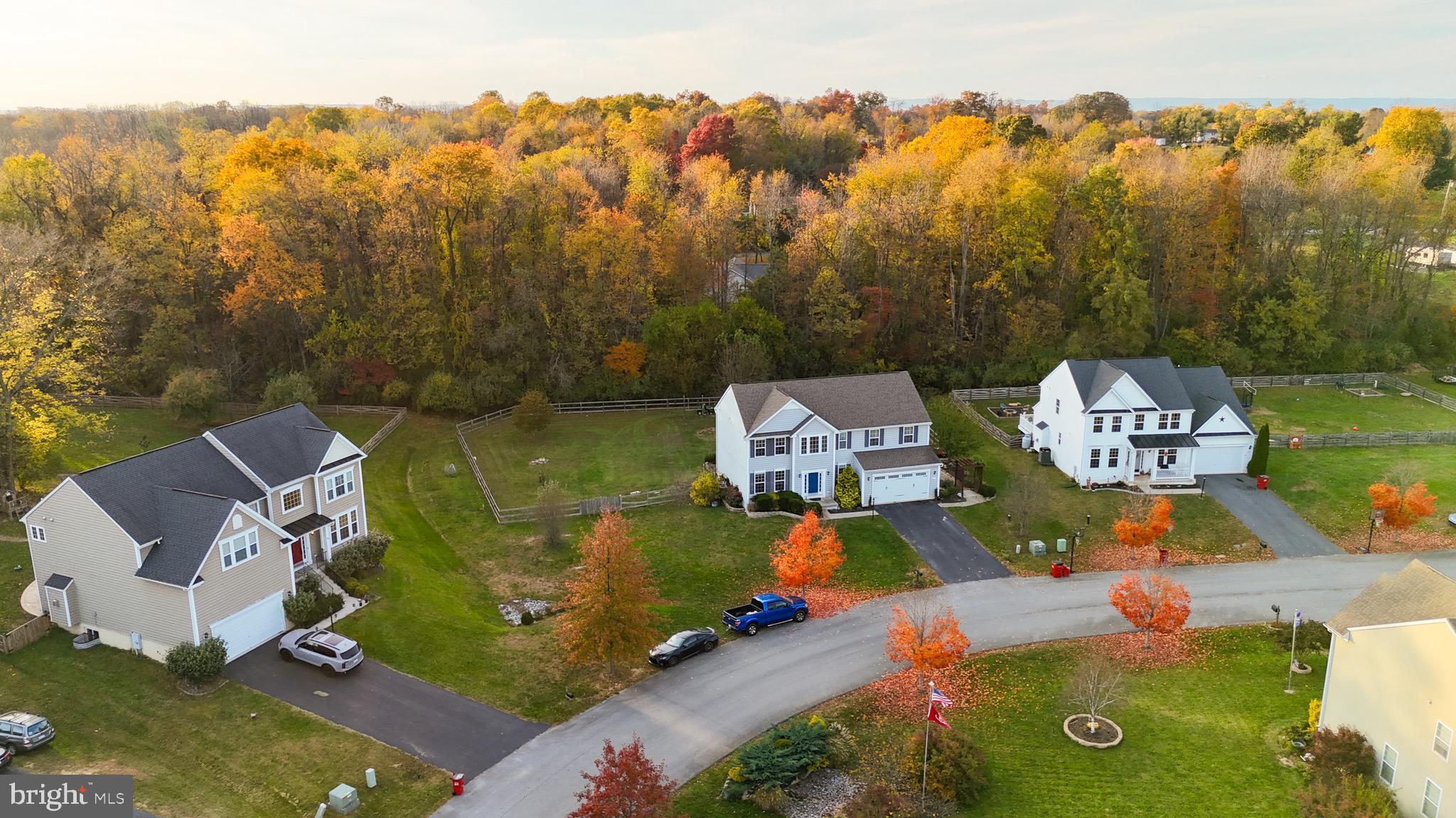 WILD ROSE - Residential