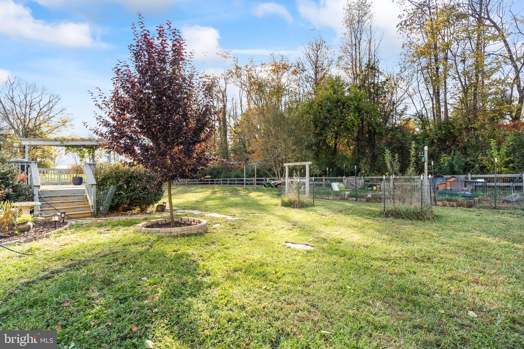 WILD ROSE - Residential