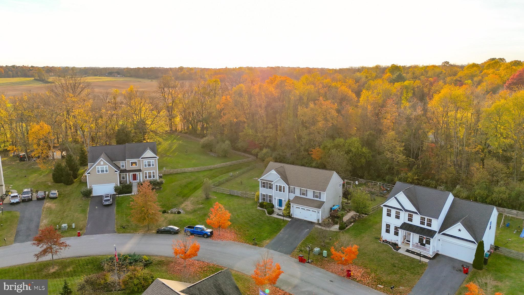 WILD ROSE - Residential