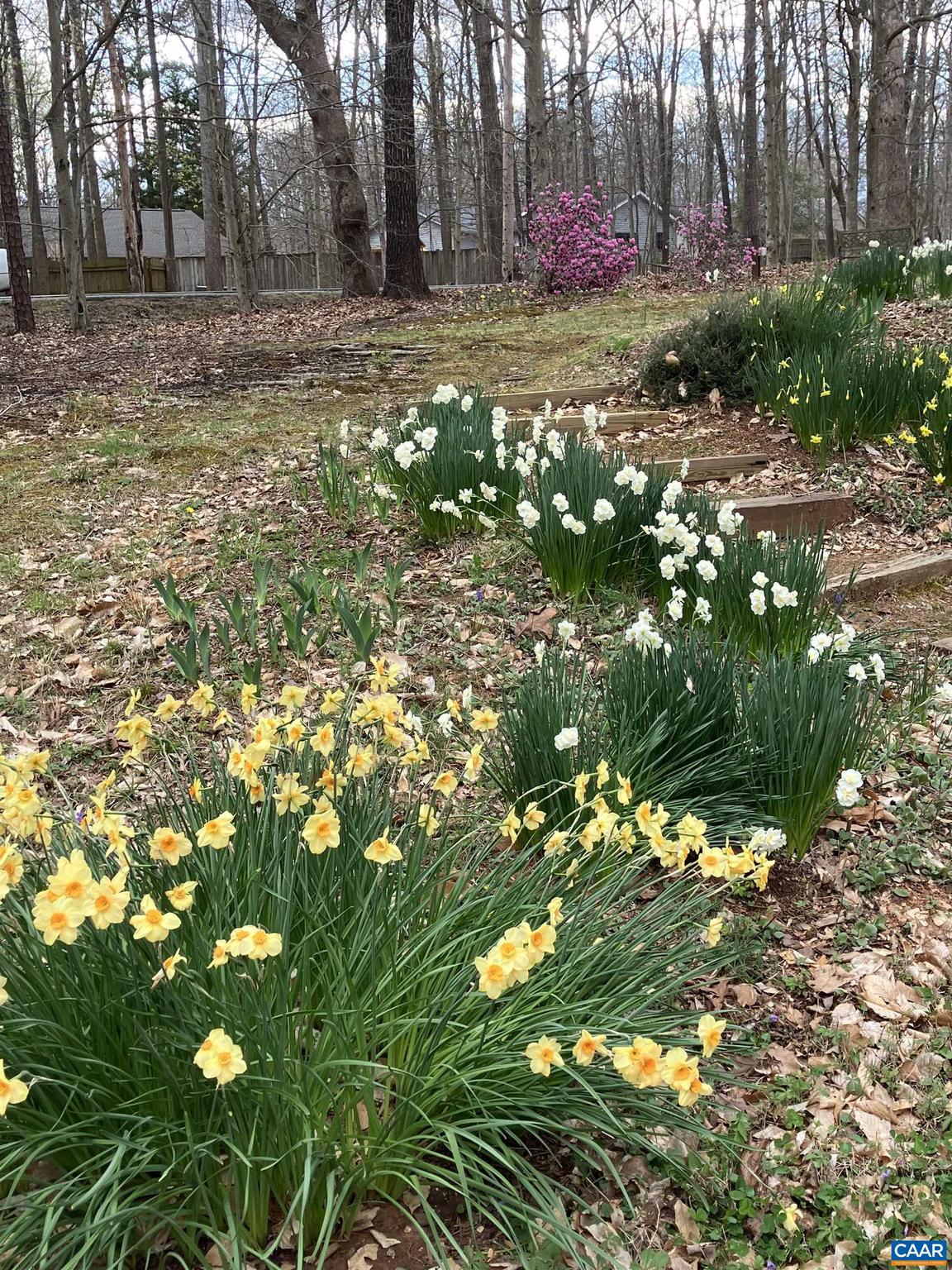 LAKE MONTICELLO - Residential