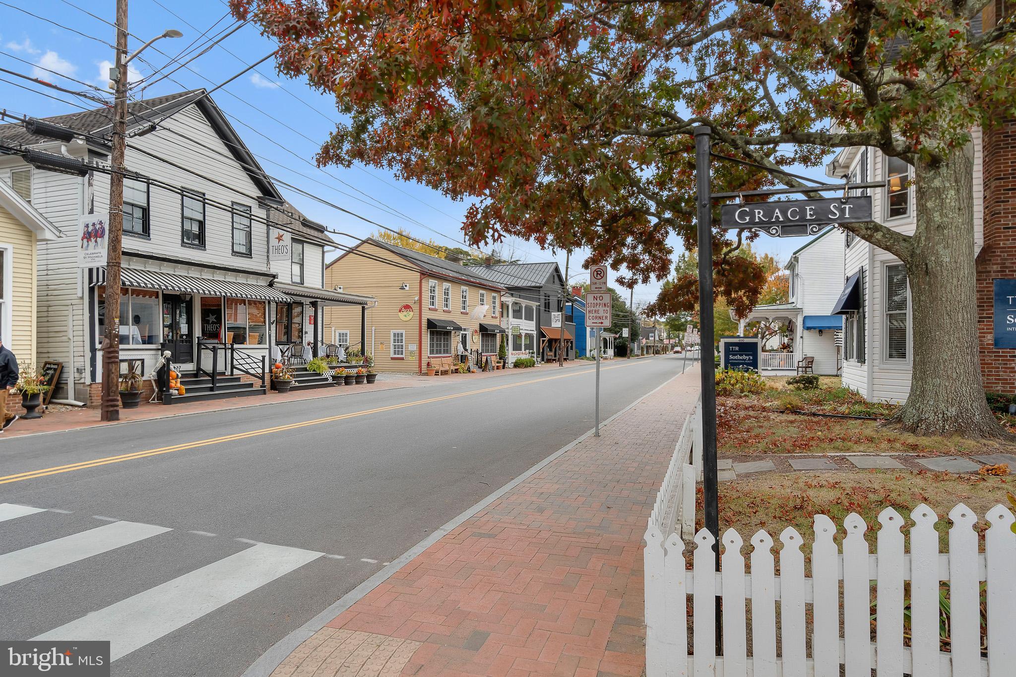 HISTORIC ST. MICHAELS - Residential