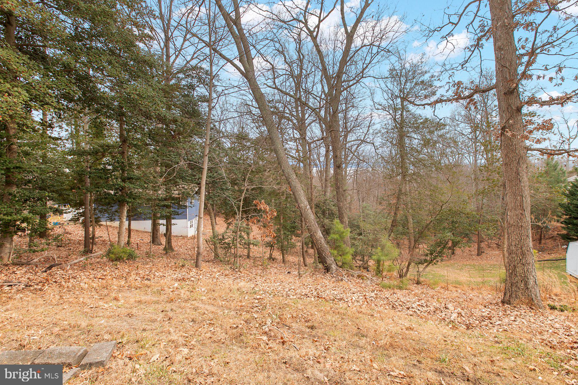 CHESAPEAKE RANCH ESTATES - Residential