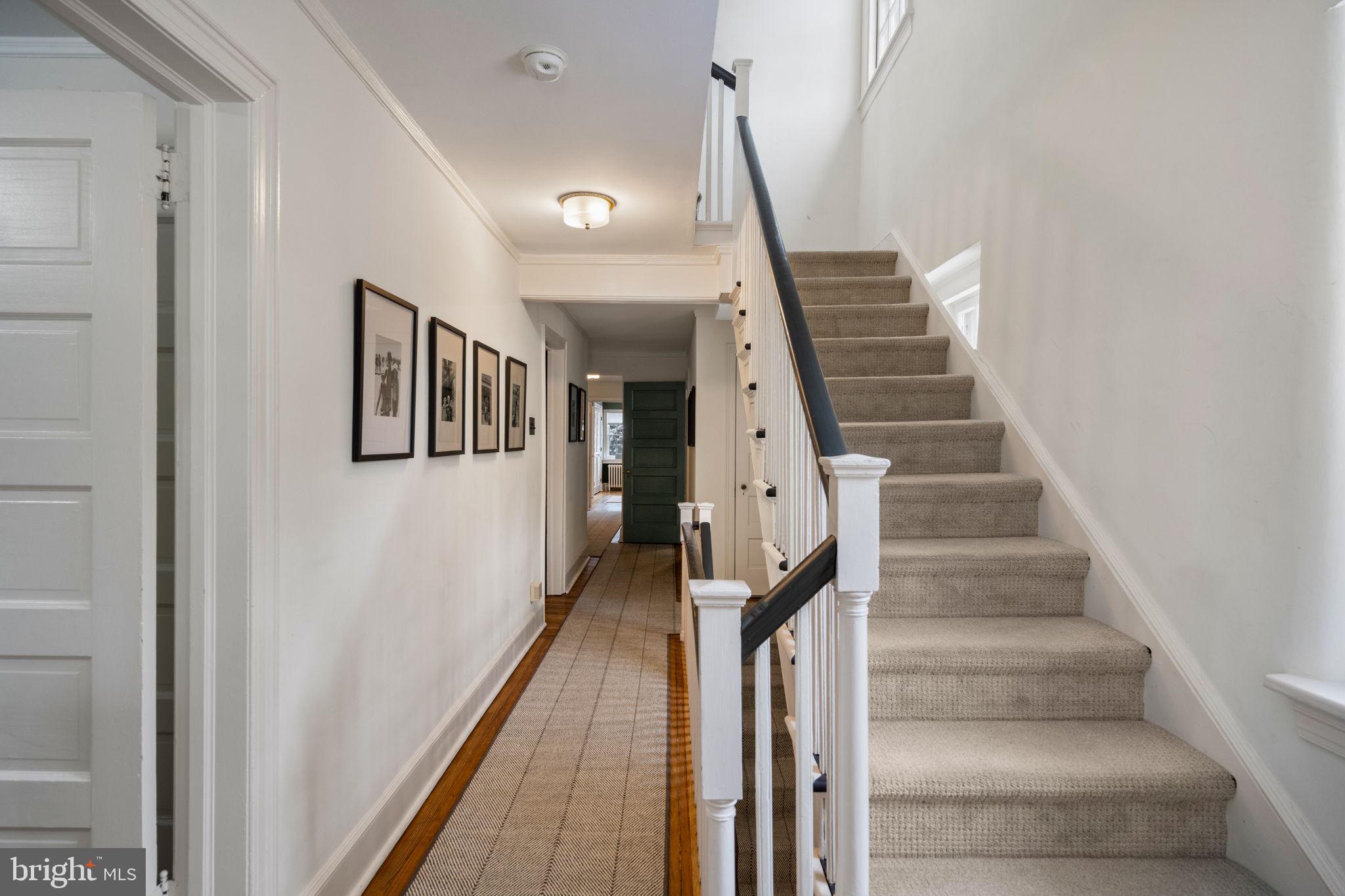 CHESTNUT HILL - Residential