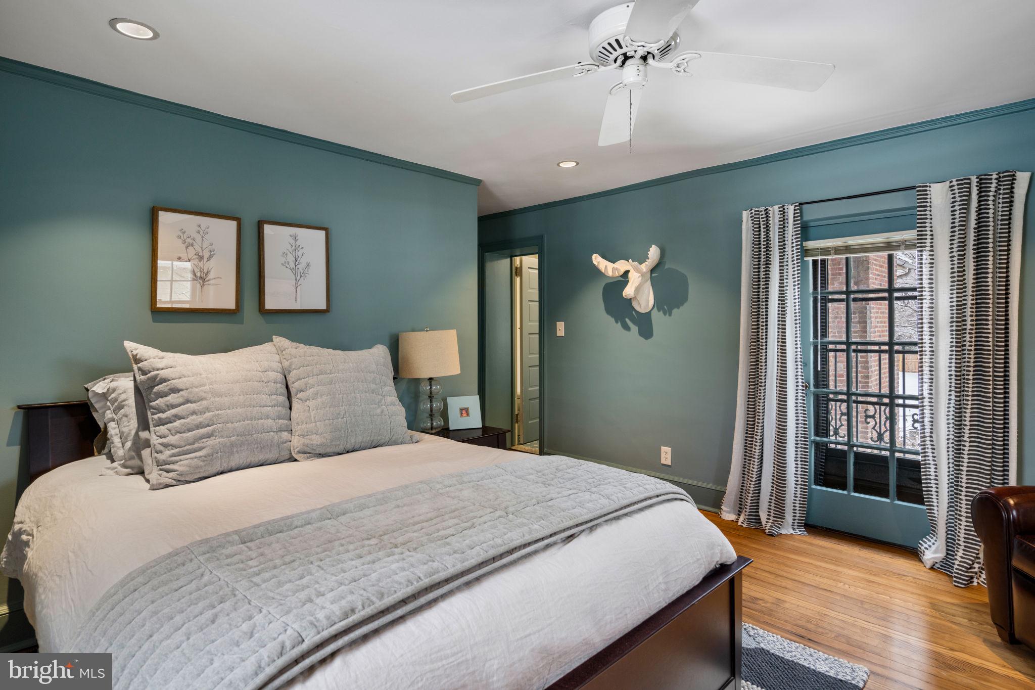 CHESTNUT HILL - Residential