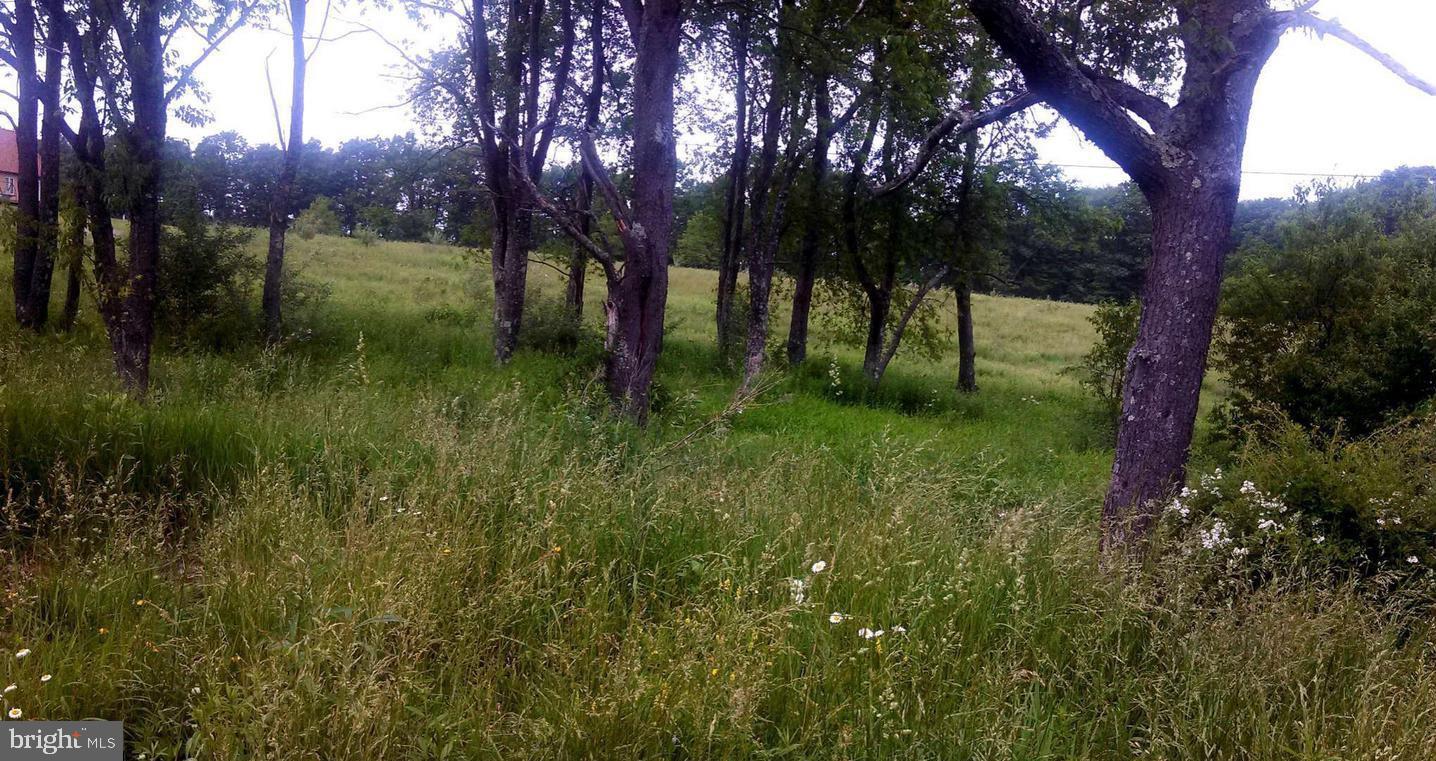 LOT 7, W BLUE GOOSE ROAD