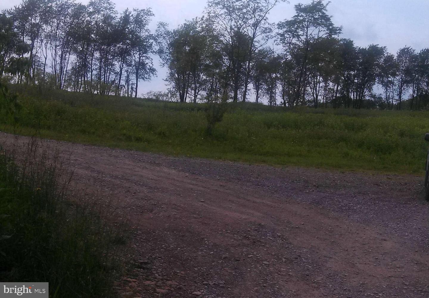 LOT 7, W BLUE GOOSE ROAD