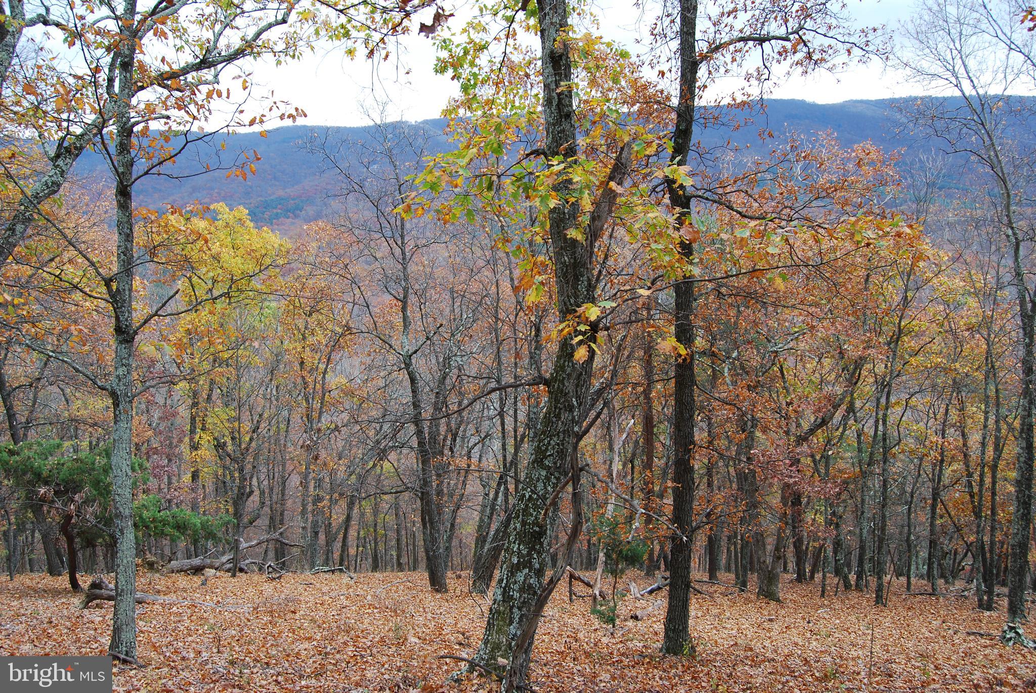 ASHTON WOODS - Land