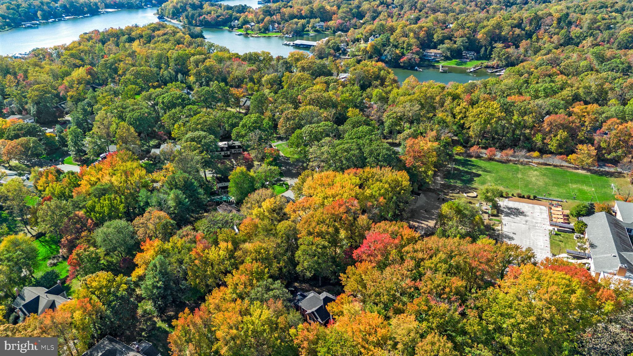 HARLEQUIN - Residential