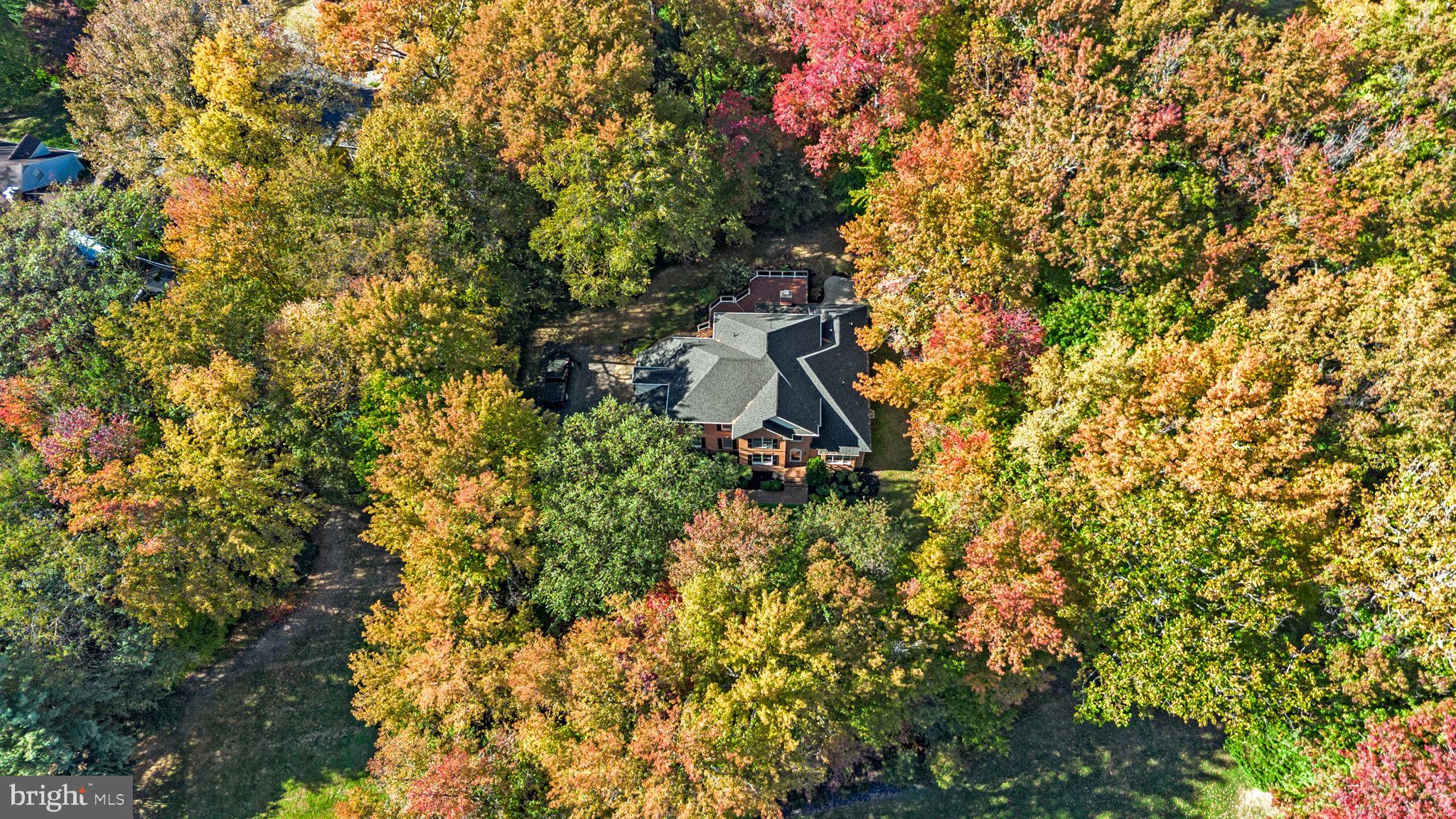 HARLEQUIN - Residential