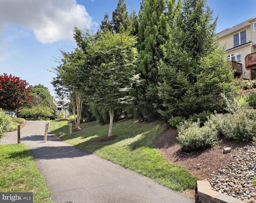 WILLOWS OF POTOMAC - Residential