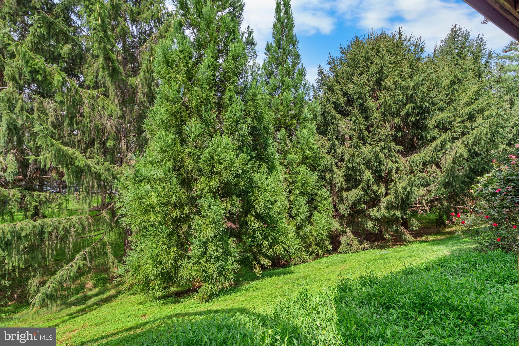 WILLOWS OF POTOMAC - Residential