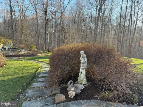 listing image 88