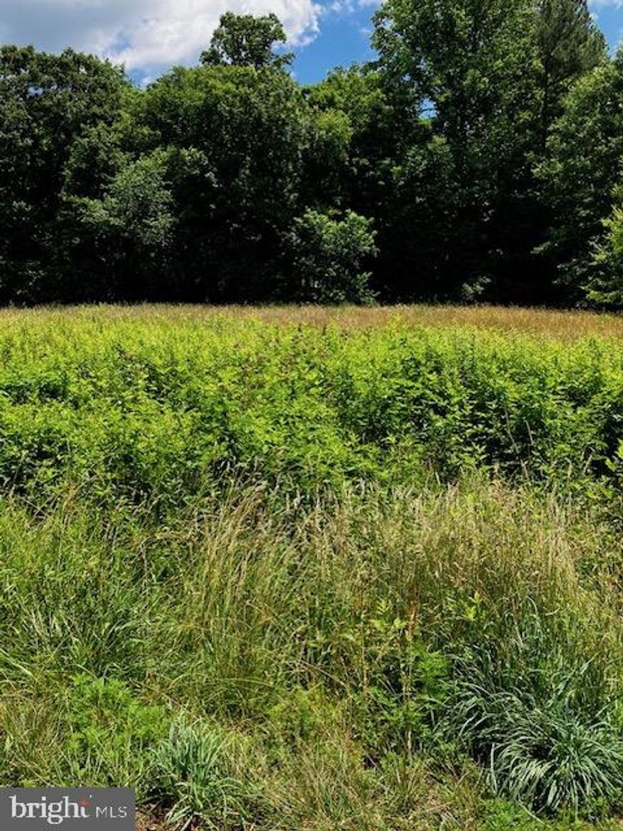 Great Location at a bargain price. Flat lot on the corner of Ellsworth Ave. and Carol Street.  No engineering studies available. Site will require alternative septic system.