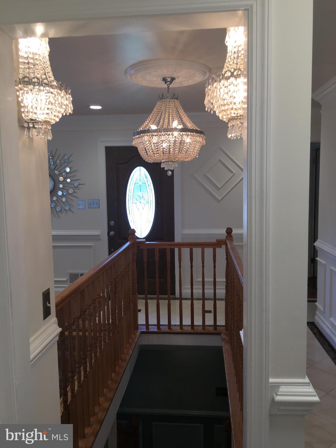 SPRINGFLD FOREST - Residential