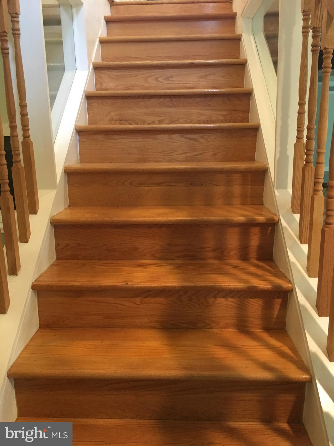 SPRINGFLD FOREST - Residential