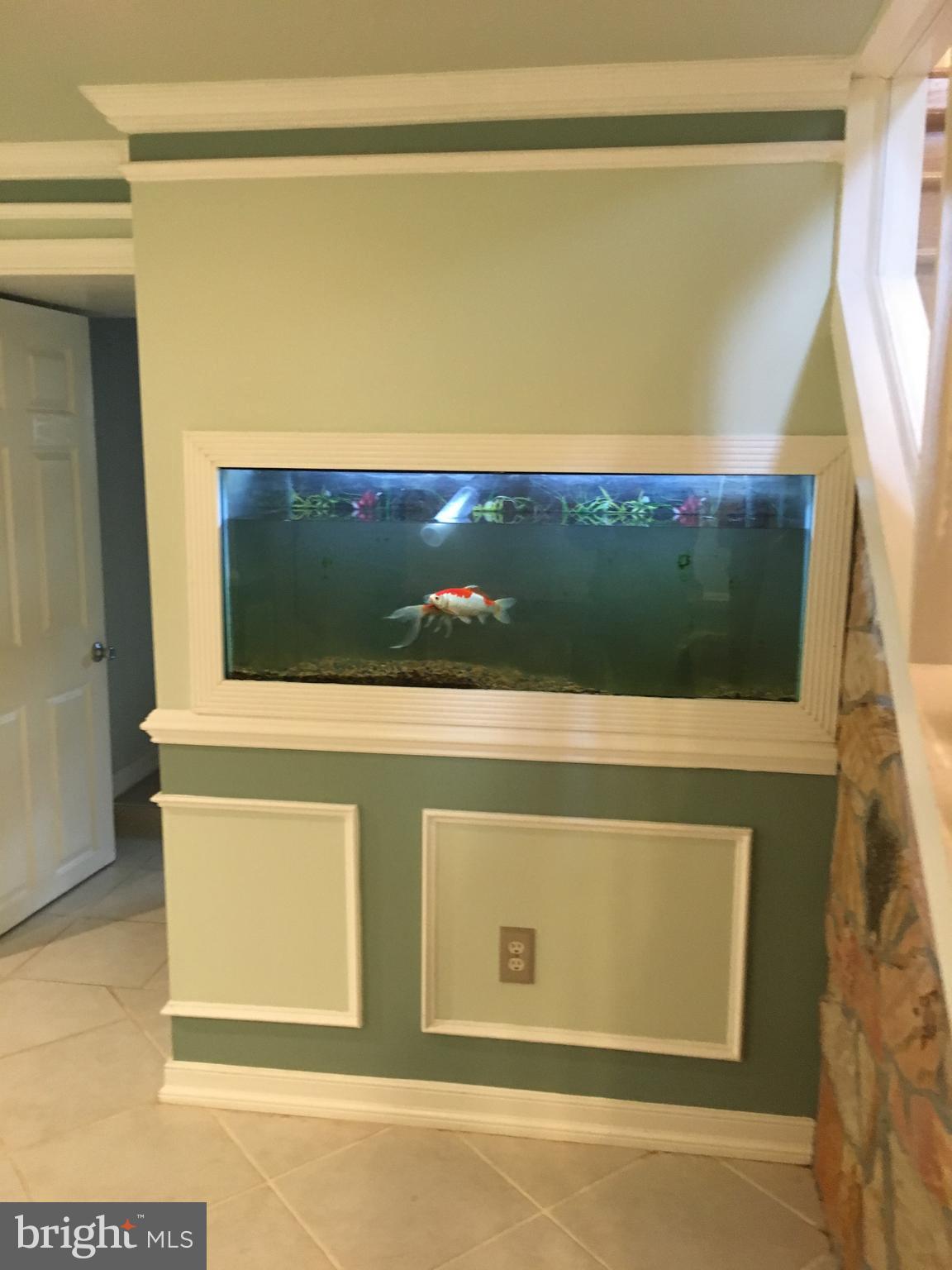 SPRINGFLD FOREST - Residential